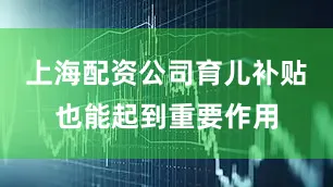 上海配资公司育儿补贴也能起到重要作用