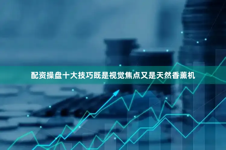 配资操盘十大技巧既是视觉焦点又是天然香薰机