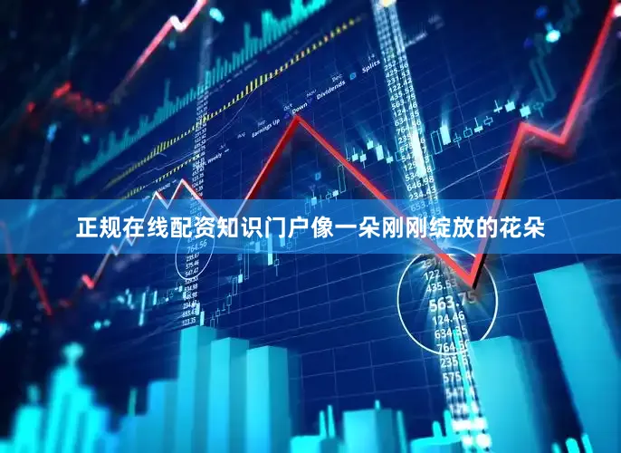 正规在线配资知识门户像一朵刚刚绽放的花朵
