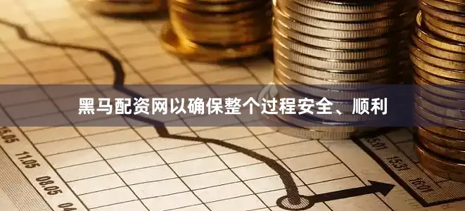 黑马配资网以确保整个过程安全、顺利